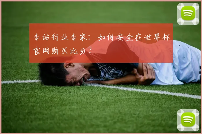 专访行业专家:如何安全在世界杯官网购买比分?