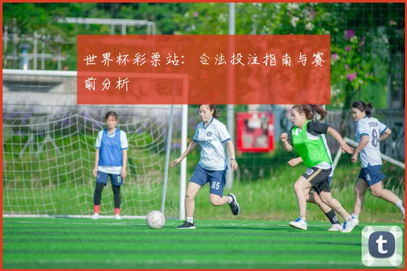 世界杯彩票站:合法投注指南与赛前分析