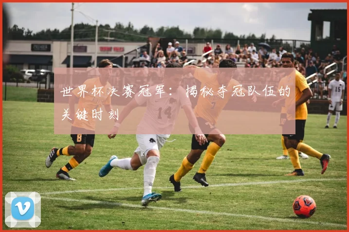 世界杯决赛冠军：揭秘夺冠队伍的关键时刻