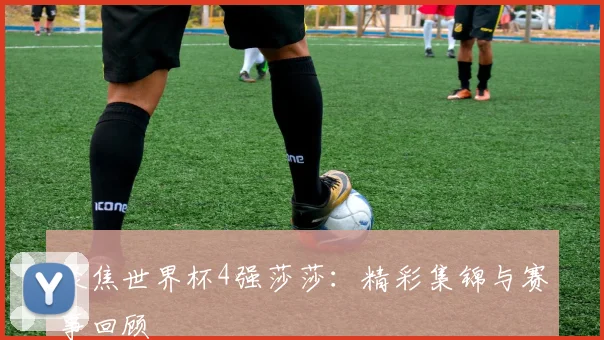 聚焦世界杯4强莎莎:精彩集锦与赛事回顾