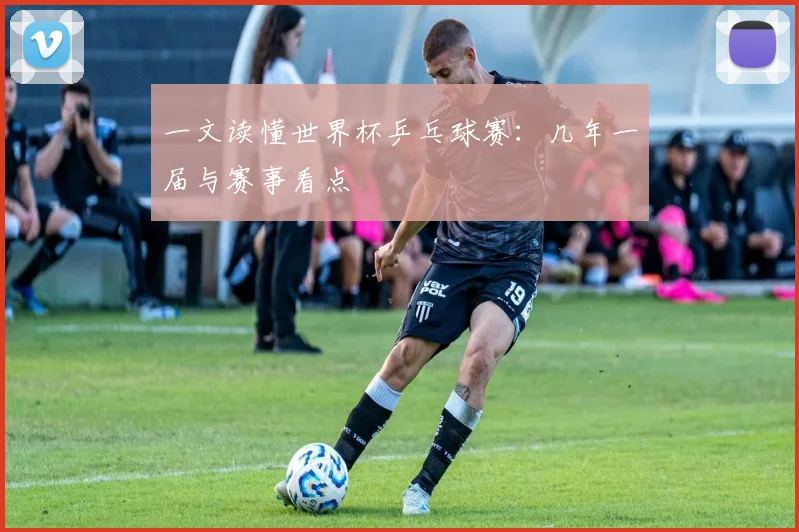一文读懂世界杯乒乓球赛:几年一届与赛事看点