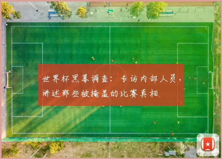 世界杯黑幕调查:专访内部人员,讲述那些被掩盖的比赛真相