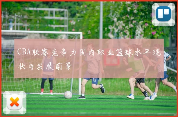 CBA联赛竞争力国内职业篮球水平现状与发展前景