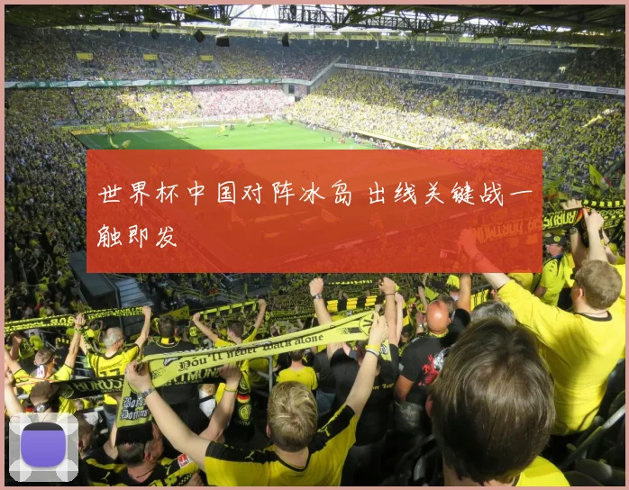 世界杯中国对阵冰岛 出线关键战一触即发
