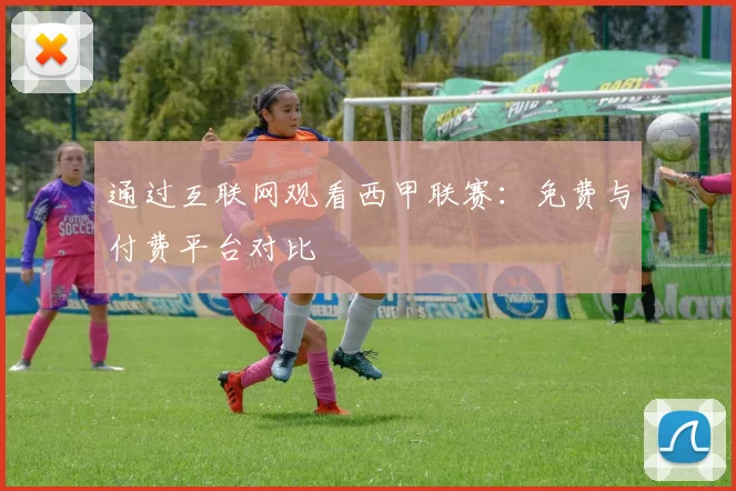 通过互联网观看西甲联赛：免费与付费平台对比