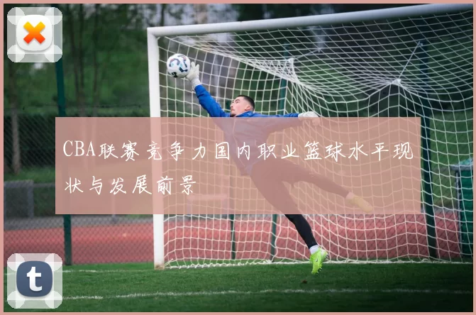 CBA联赛竞争力国内职业篮球水平现状与发展前景