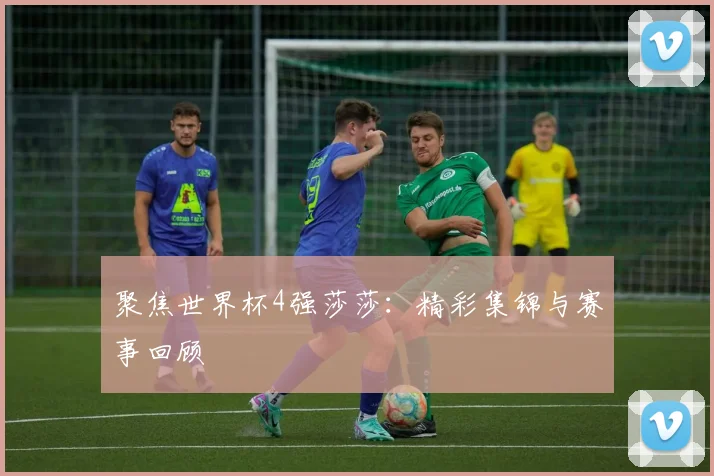 聚焦世界杯4强莎莎:精彩集锦与赛事回顾