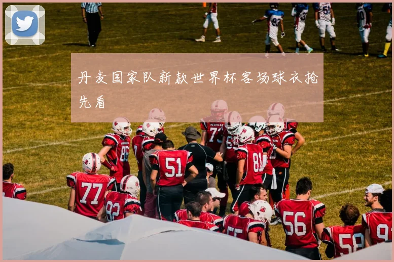 丹麦国家队新款世界杯客场球衣抢先看