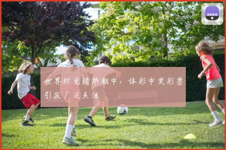 世界杯竞猜热潮中,体彩中奖彩票引发广泛关注