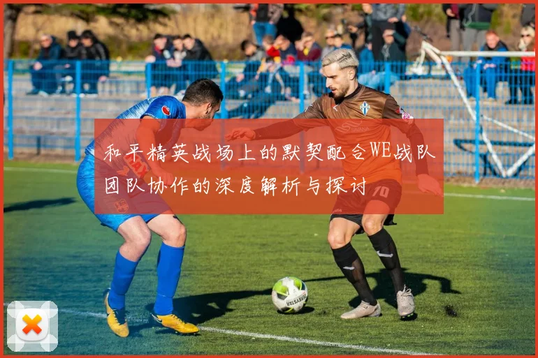 和平精英战场上的默契配合WE战队团队协作的深度解析与探讨