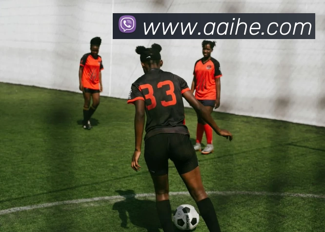 App Interface Preview