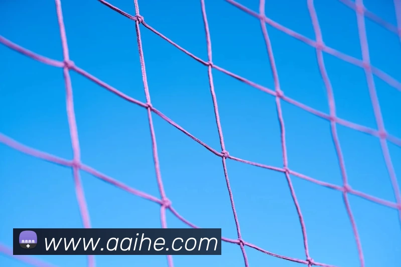 华体育会hthAPP 封面图